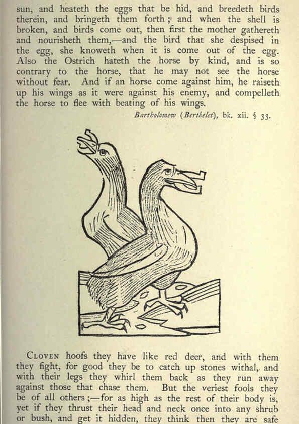 Reproducción/Reproduction 5999173454: Natural history in Shakespeare's time London :E. Stock,1896