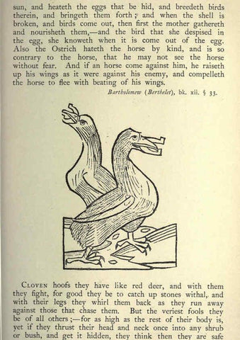 Reproducción/Reproduction 5999173454: Natural history in Shakespeare's time London :E. Stock,1896