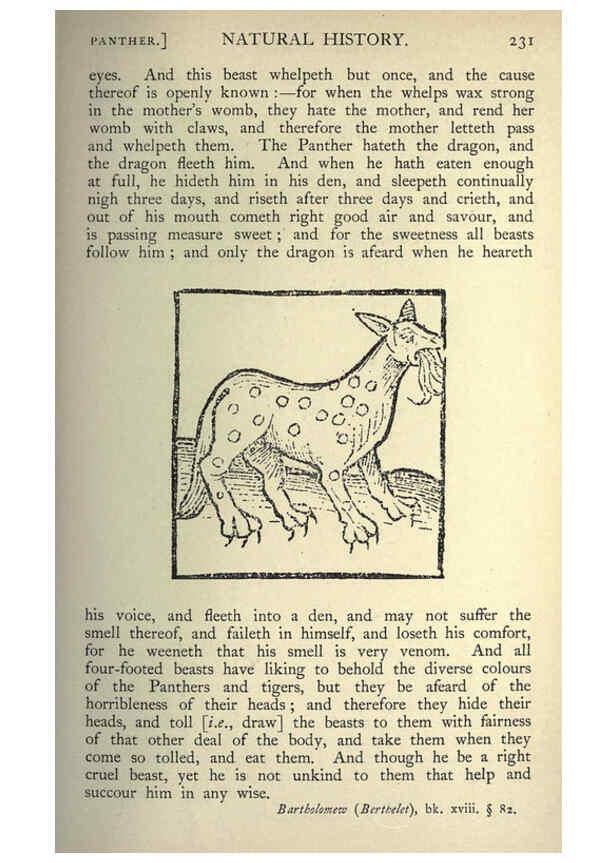Reproducción/Reproduction 5998628537: Natural history in Shakespeare's time London :E. Stock,1896