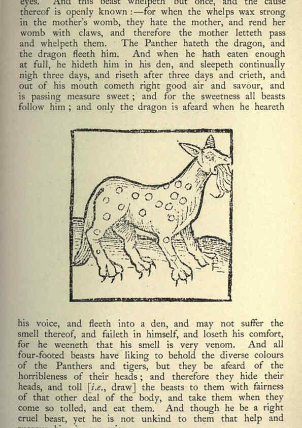 Reproducción/Reproduction 5998628537: Natural history in Shakespeare's time London :E. Stock,1896