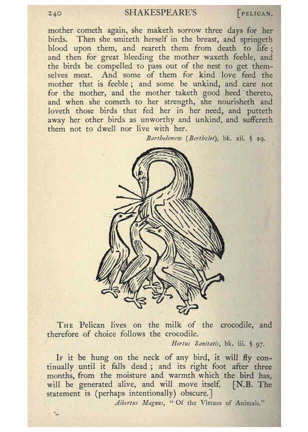Reproducción/Reproduction 5999173954: Natural history in Shakespeare's time London :E. Stock,1896