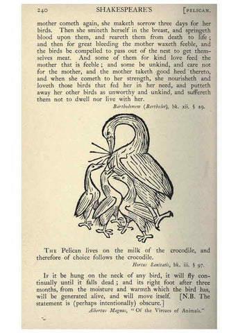 Reproducción/Reproduction 5999173954: Natural history in Shakespeare's time London :E. Stock,1896