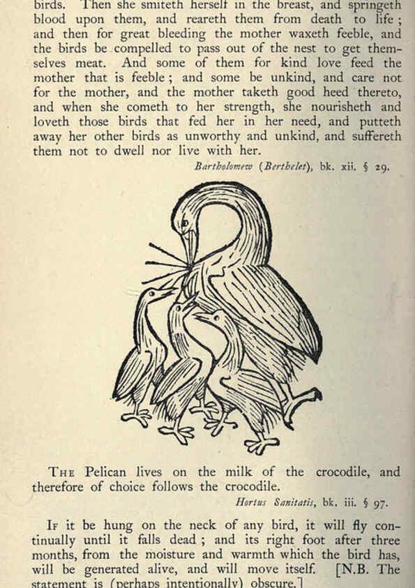 Reproducción/Reproduction 5999173954: Natural history in Shakespeare's time London :E. Stock,1896