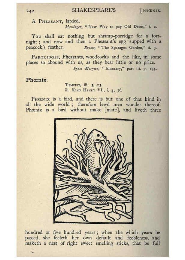 Reproducción/Reproduction 5999174270: Natural history in Shakespeare's time London :E. Stock,1896
