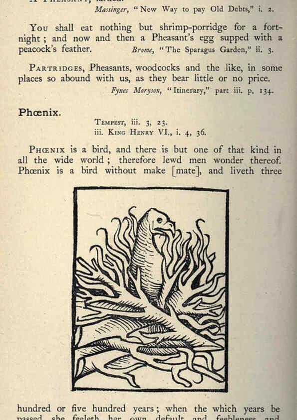 Reproducción/Reproduction 5999174270: Natural history in Shakespeare's time London :E. Stock,1896