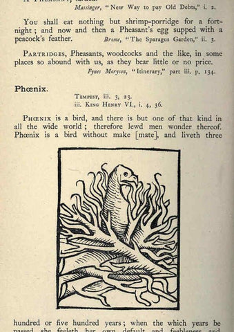 Reproducción/Reproduction 5999174270: Natural history in Shakespeare's time London :E. Stock,1896
