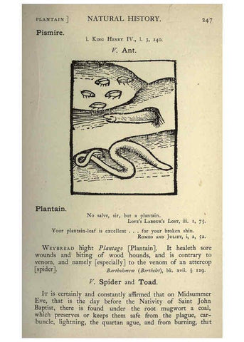 Reproducción/Reproduction 5998629719: Natural history in Shakespeare's time London :E. Stock,1896