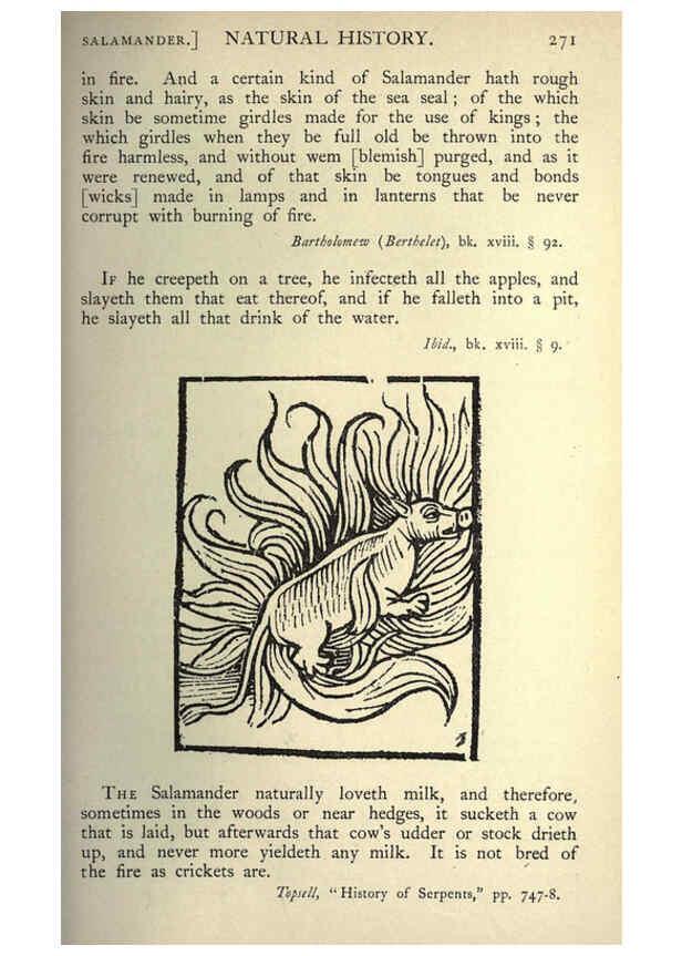 Reproducción/Reproduction 5999175058: Natural history in Shakespeare's time London :E. Stock,1896