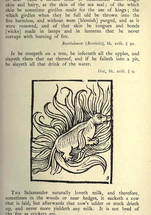 Reproducción/Reproduction 5999175058: Natural history in Shakespeare's time London :E. Stock,1896