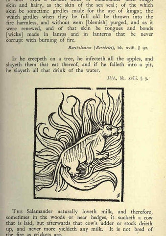 Reproducción/Reproduction 5999175058: Natural history in Shakespeare's time London :E. Stock,1896