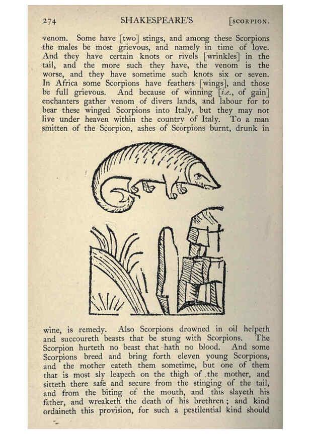 Reproducción/Reproduction 5999175450: Natural history in Shakespeare's time London :E. Stock,1896