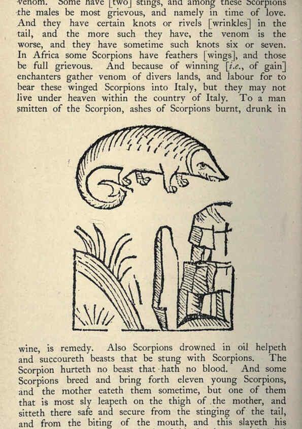 Reproducción/Reproduction 5999175450: Natural history in Shakespeare's time London :E. Stock,1896