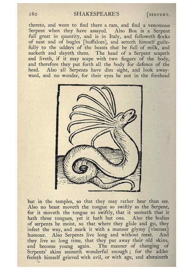 Reproducción/Reproduction 5999175738: Natural history in Shakespeare's time London :E. Stock,1896