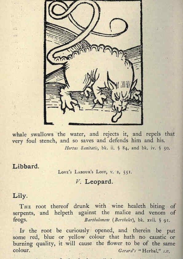 Reproducción/Reproduction 5999156080: Natural history in Shakespeare's time London :E. Stock,1896