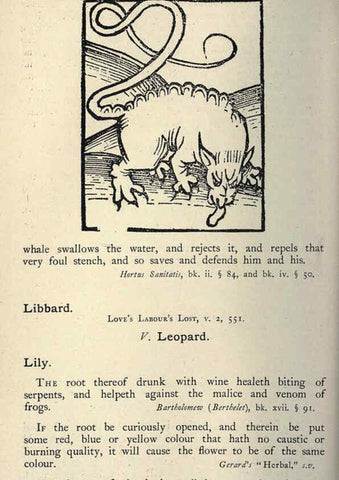 Reproducción/Reproduction 5999156080: Natural history in Shakespeare's time London :E. Stock,1896