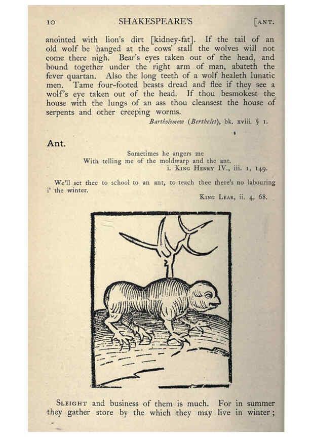 Reproducción/Reproduction 5998591531: Natural history in Shakespeare's time London :E. Stock,1896