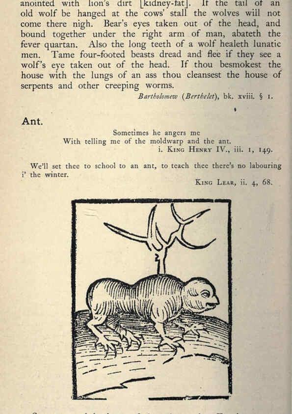 Reproducción/Reproduction 5998591531: Natural history in Shakespeare's time London :E. Stock,1896