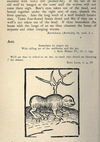 Reproducción/Reproduction 5998591531: Natural history in Shakespeare's time London :E. Stock,1896