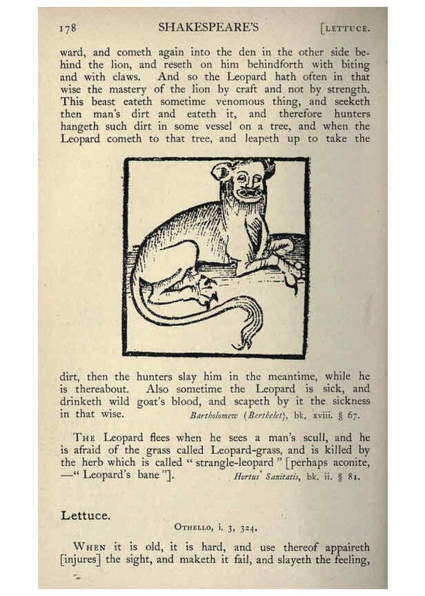 Reproducción/Reproduction 5999155504: Natural history in Shakespeare's time London :E. Stock,1896