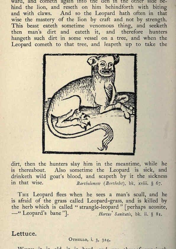 Reproducción/Reproduction 5999155504: Natural history in Shakespeare's time London :E. Stock,1896