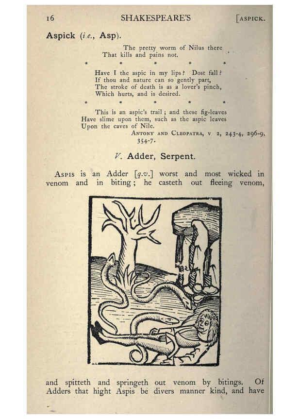 Reproducción/Reproduction 5998595893: Natural history in Shakespeare's time London :E. Stock,1896