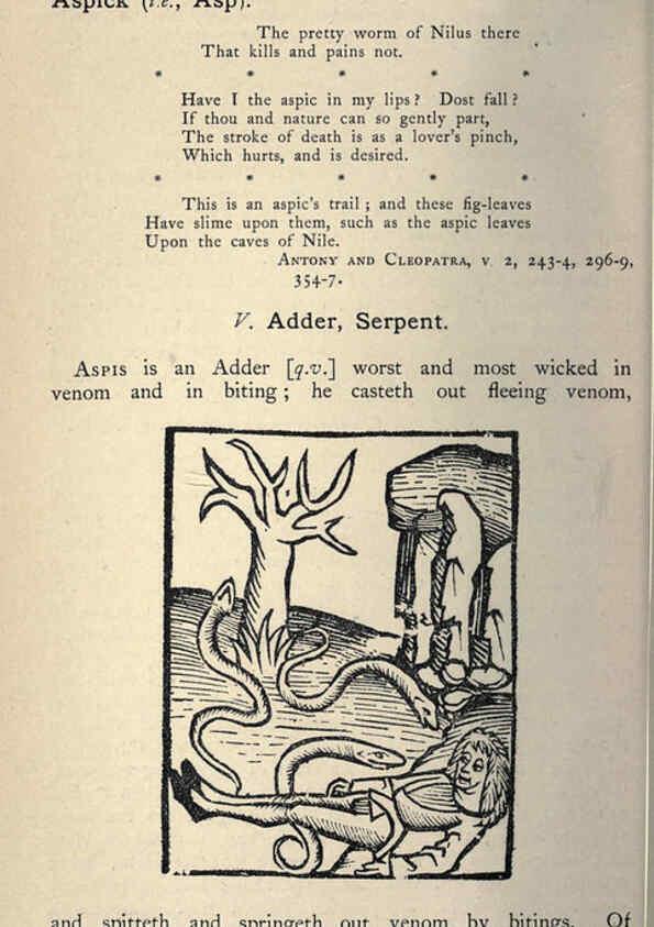 Reproducción/Reproduction 5998595893: Natural history in Shakespeare's time London :E. Stock,1896