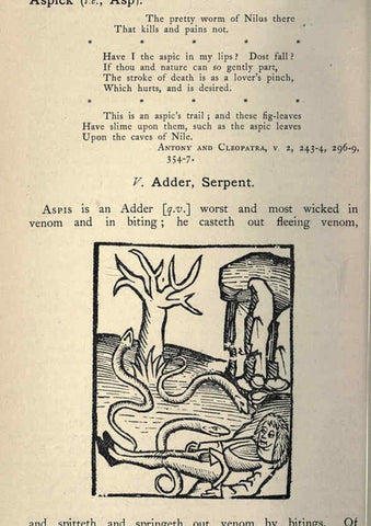 Reproducción/Reproduction 5998595893: Natural history in Shakespeare's time London :E. Stock,1896