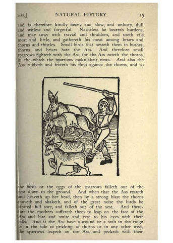 Reproducción/Reproduction 5998597421: Natural history in Shakespeare's time London :E. Stock,1896