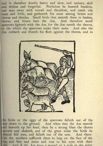Reproducción/Reproduction 5998597421: Natural history in Shakespeare's time London :E. Stock,1896