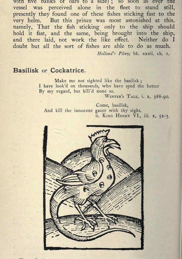 Reproducción/Reproduction 5998597711: Natural history in Shakespeare's time London :E. Stock,1896