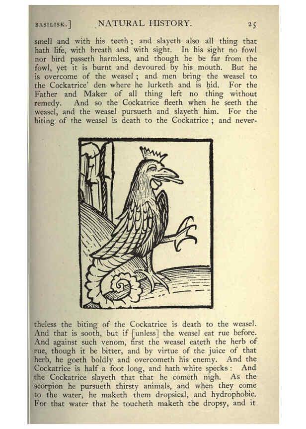 Reproducción/Reproduction 5999143416: Natural history in Shakespeare's time London :E. Stock,1896