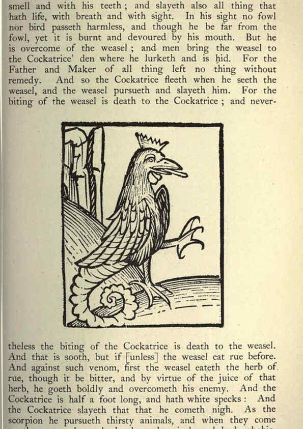 Reproducción/Reproduction 5999143416: Natural history in Shakespeare's time London :E. Stock,1896