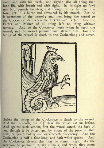 Reproducción/Reproduction 5999143416: Natural history in Shakespeare's time London :E. Stock,1896