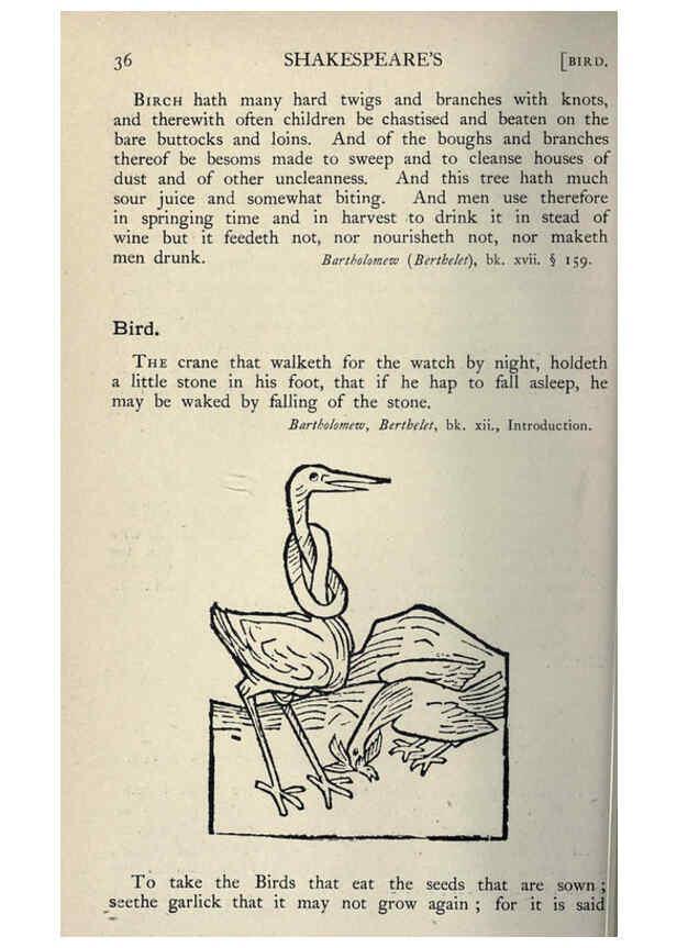 Reproducción/Reproduction 5999143664: Natural history in Shakespeare's time London :E. Stock,1896