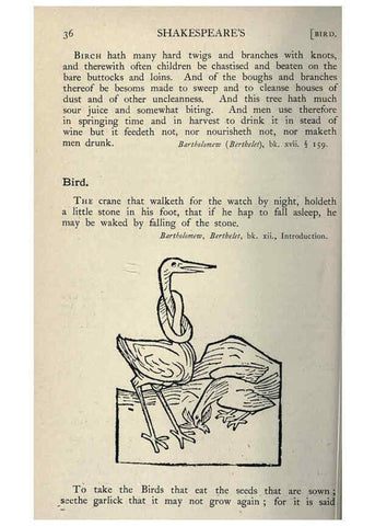 Reproducción/Reproduction 5999143664: Natural history in Shakespeare's time London :E. Stock,1896
