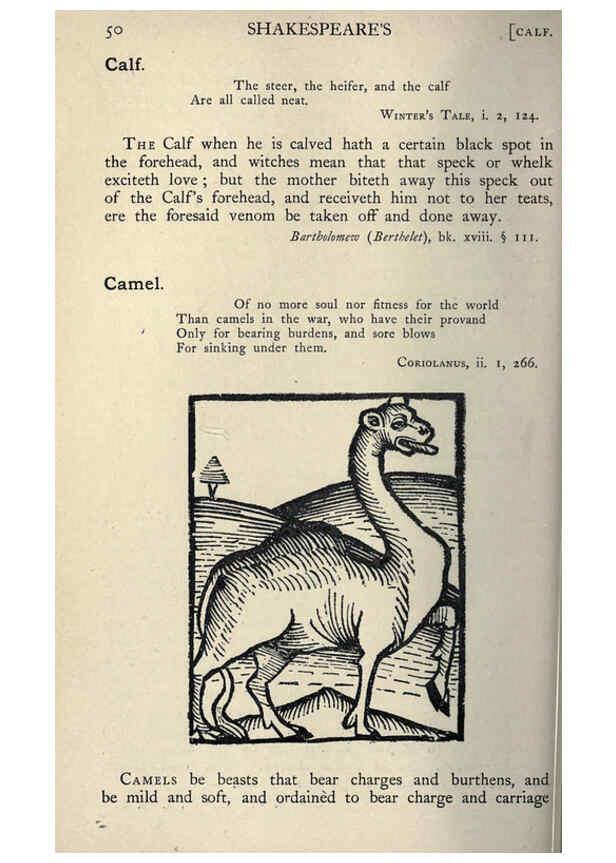 Reproducción/Reproduction 5998598637: Natural history in Shakespeare's time London :E. Stock,1896