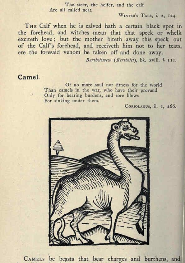 Reproducción/Reproduction 5998598637: Natural history in Shakespeare's time London :E. Stock,1896