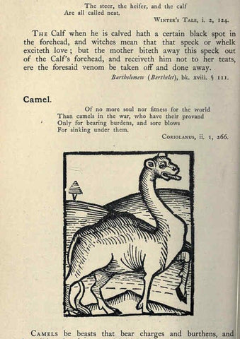 Reproducción/Reproduction 5998598637: Natural history in Shakespeare's time London :E. Stock,1896