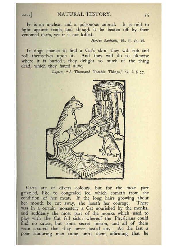 Reproducción/Reproduction 5998598935: Natural history in Shakespeare's time London :E. Stock,1896