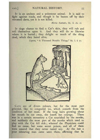 Reproducción/Reproduction 5998598935: Natural history in Shakespeare's time London :E. Stock,1896