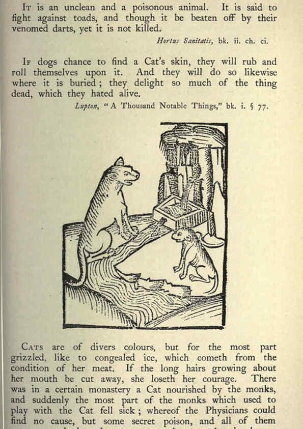 Reproducción/Reproduction 5998598935: Natural history in Shakespeare's time London :E. Stock,1896