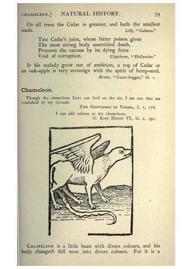 Reproducción/Reproduction 5999144758: Natural history in Shakespeare's time London :E. Stock,1896
