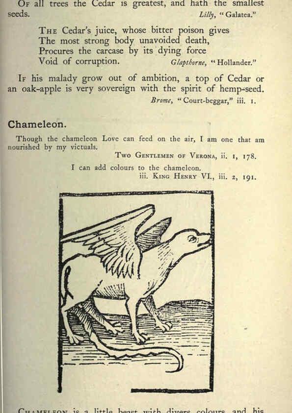 Reproducción/Reproduction 5999144758: Natural history in Shakespeare's time London :E. Stock,1896