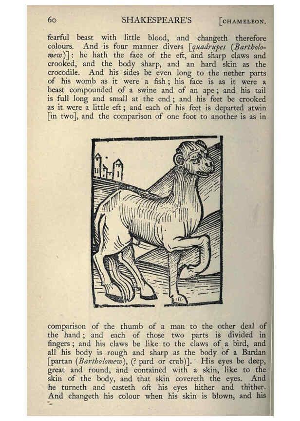 Reproducción/Reproduction 5998599805: Natural history in Shakespeare's time London :E. Stock,1896