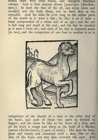 Reproducción/Reproduction 5998599805: Natural history in Shakespeare's time London :E. Stock,1896