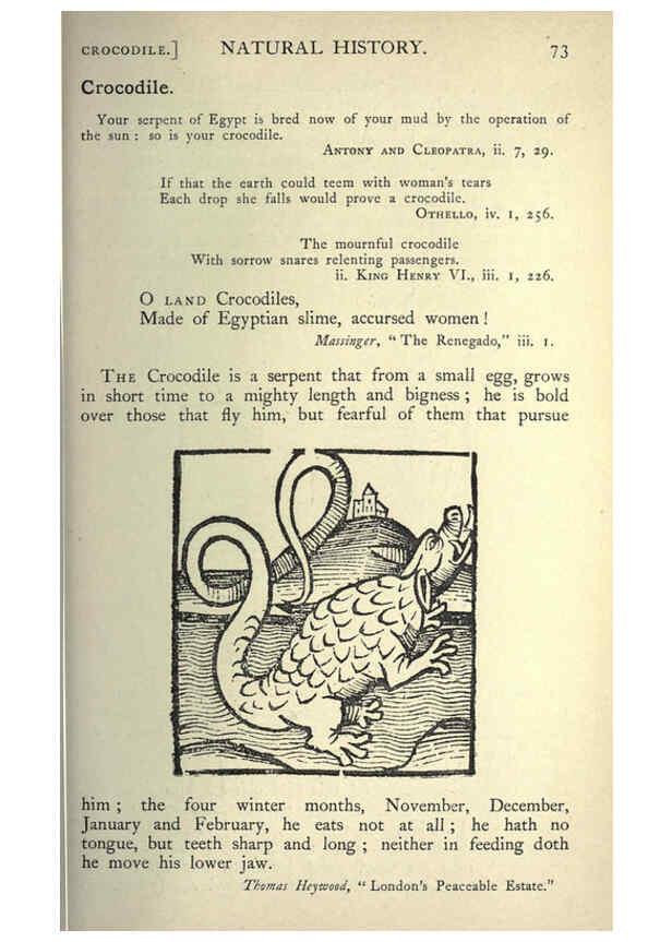 Reproducción/Reproduction 5999145664: Natural history in Shakespeare's time London :E. Stock,1896