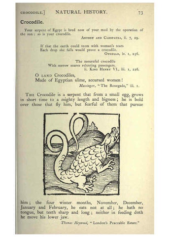 Reproducción/Reproduction 5999145664: Natural history in Shakespeare's time London :E. Stock,1896