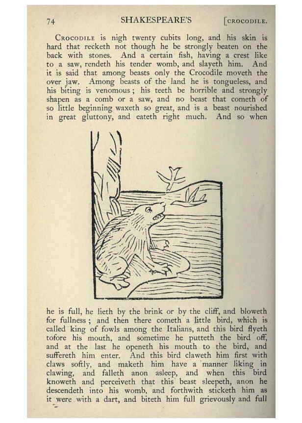 Reproducción/Reproduction 5999145974: Natural history in Shakespeare's time London :E. Stock,1896