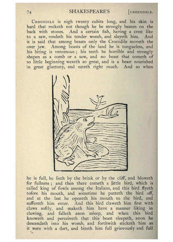 Reproducción/Reproduction 5999145974: Natural history in Shakespeare's time London :E. Stock,1896