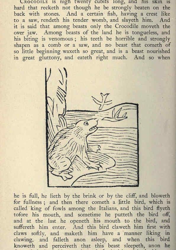 Reproducción/Reproduction 5999145974: Natural history in Shakespeare's time London :E. Stock,1896